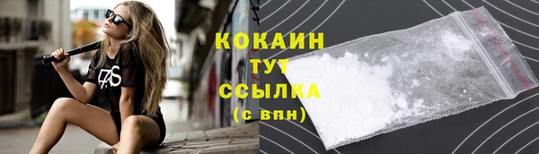 крисы Вязьма