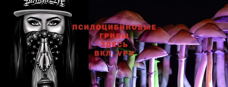 нарко площадка телеграм  Ярцево  Псилоцибиновые грибы MAGIC MUSHROOMS 